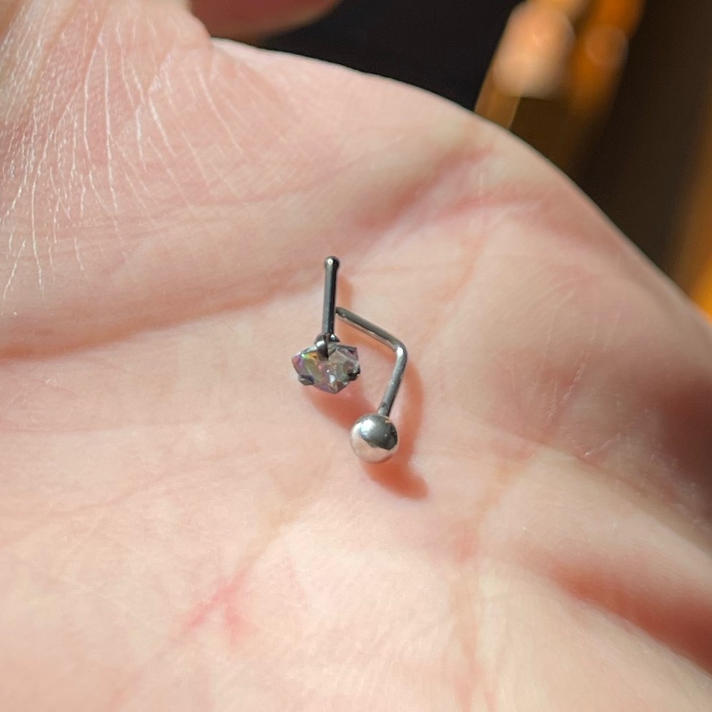 4 Nose Rings - Picture 5 of 12